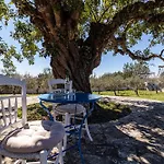 Sea View Villa-luxury Residence-nature & Calm Villa Porto Heli